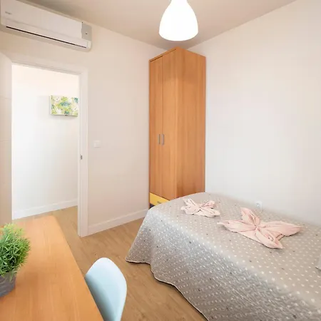 Apartment Consistorial *